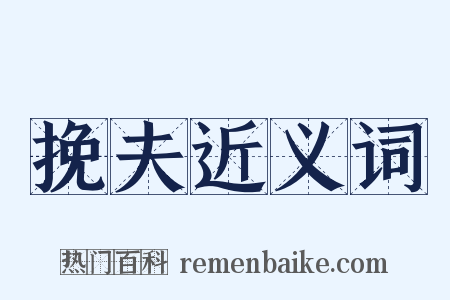 挽夫近义词是什么意思的图片